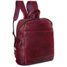 Roter Leder Rucksack Vintage groß